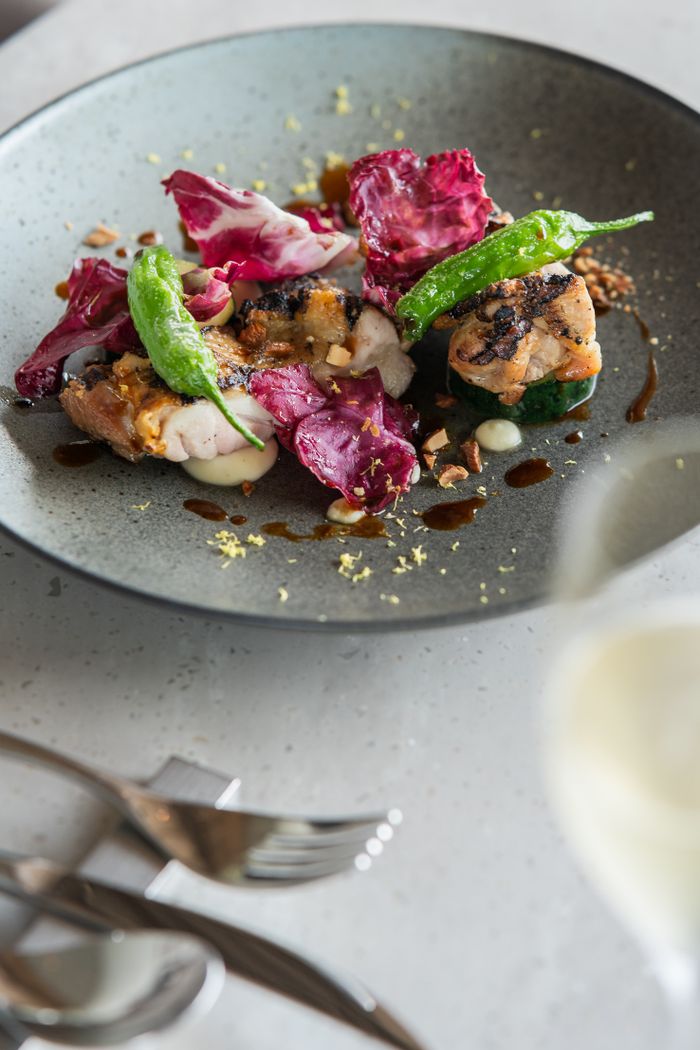 Elegant presentation of grilled chicken with colorful greens and sauce.